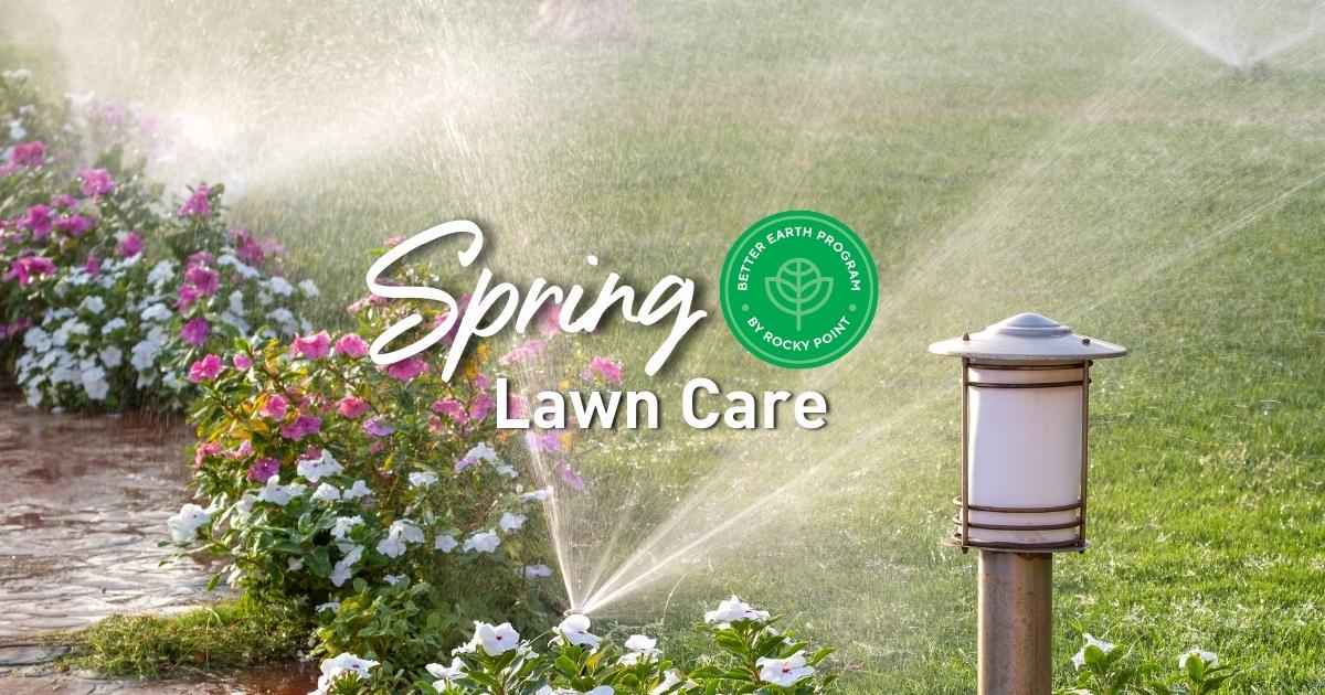 Spring Lawn Care